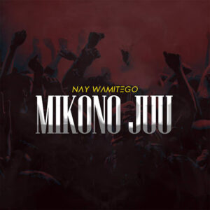 Mikono Juu