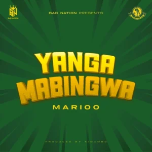 Yanga Mabingwa