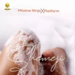 Shemeji (Remix)
