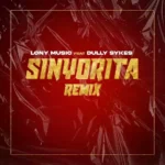 Sinyorita Remix