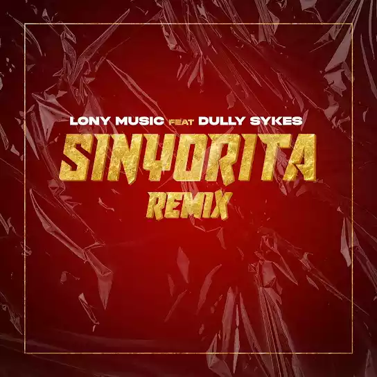 Sinyorita Remix