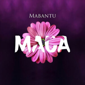 Maua