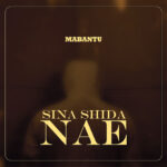 Sina Shida Nae
