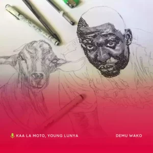 Demu Wako
