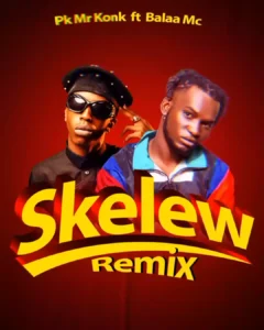 Skelew Remix