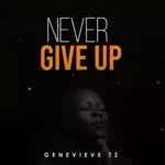 Never Give Up