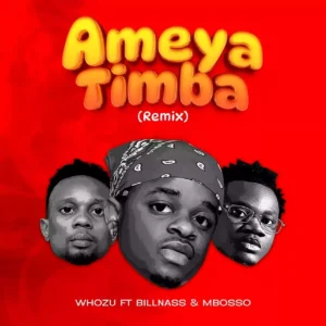 Ameyatimba Remix