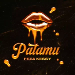 Patamu