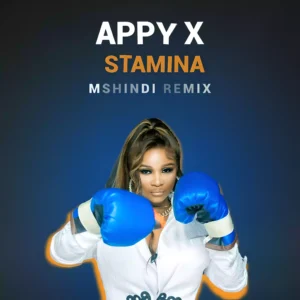 Mshindi (Remix)