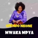 Mwaka Mpya