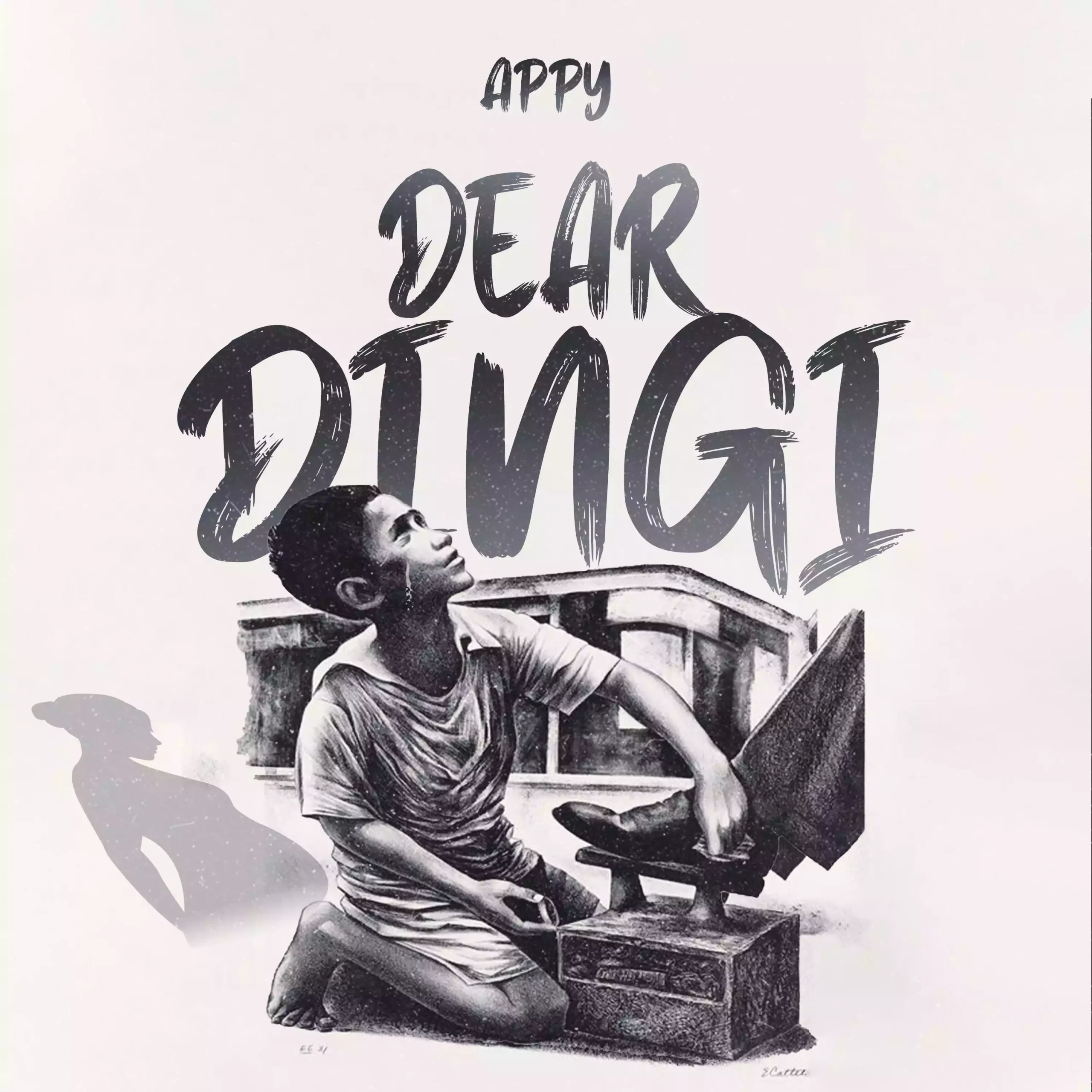 Dear Dingi