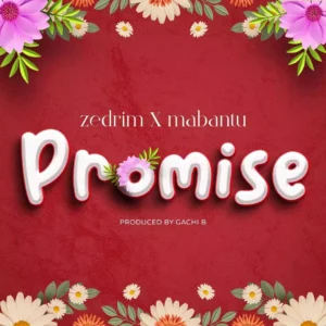 Promise