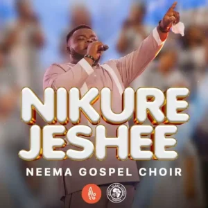 Nikurejeshee