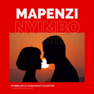 Nyimbo za Valentine Day Songs