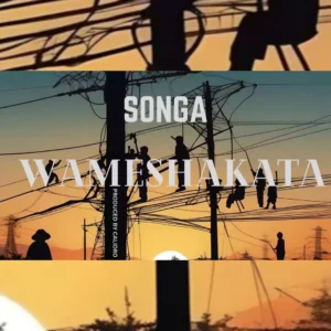 Wameshakata