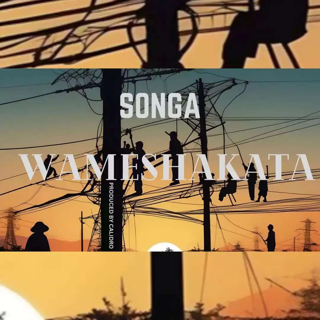 Wameshakata
