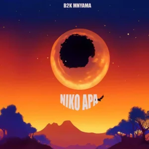Niko Hapa