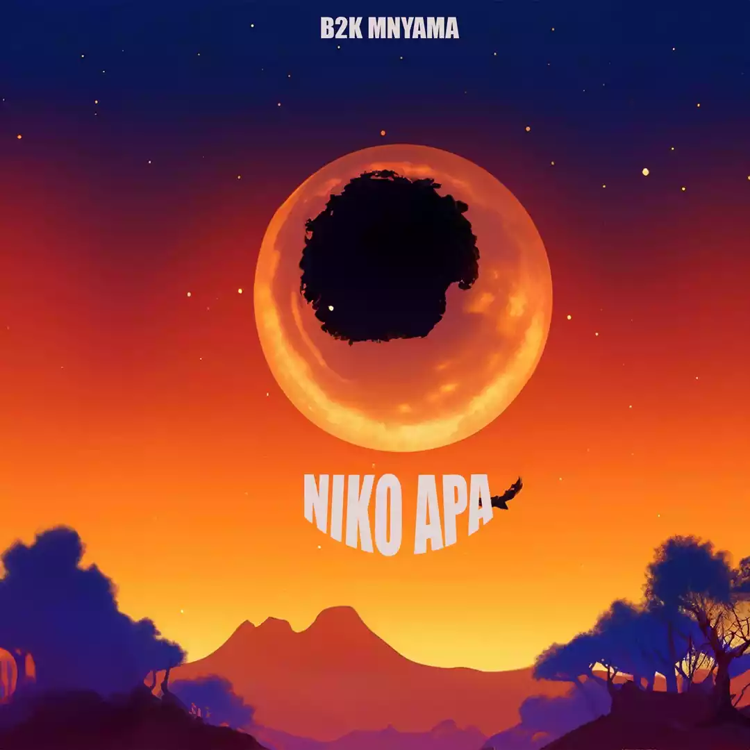 Niko Hapa