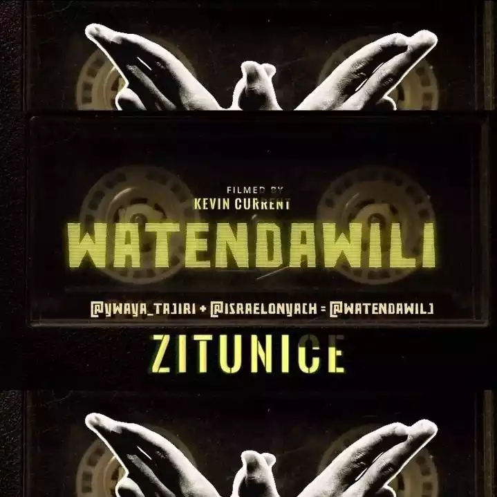 Zitunice Acoustic