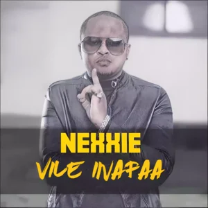 Vile Inafaa