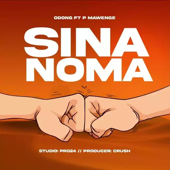 Sina Noma