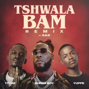 Tshwala Bam (Remix)