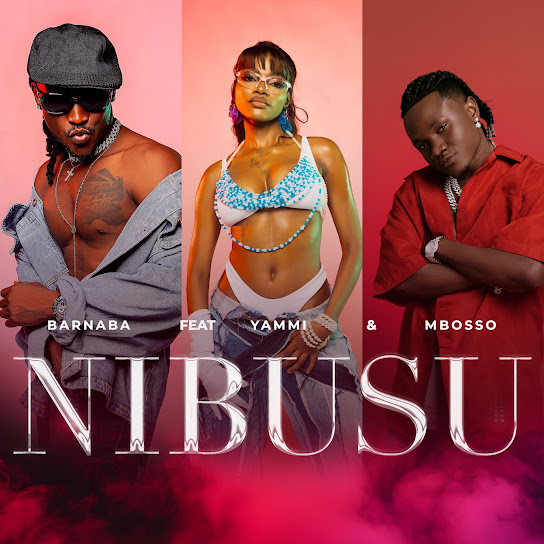 Nibusu Remix