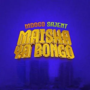 Maisha ya Bongo