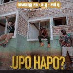 Upo Hapo ?