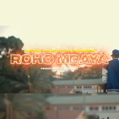 Roho Mbaya