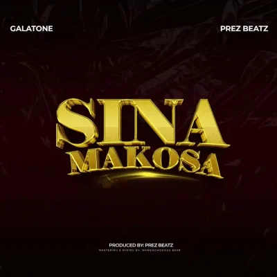Sina Makosa