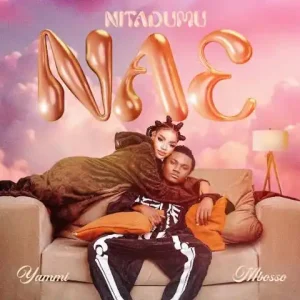 Nitadumu Nae