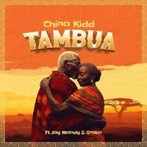 Tambua