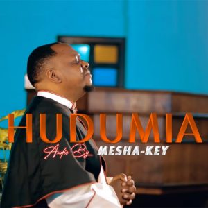 Hudumia