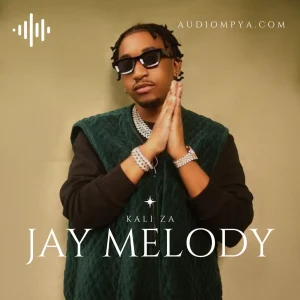 Nyimbo Kali za Jay Melody Playlist