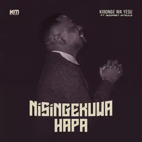 Nisingekuwa Hapa
