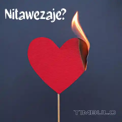 Nitawezaje?