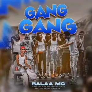 Gang Gang
