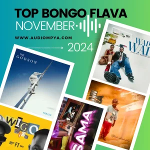Top Bongo Flava Songs (November 2024)
