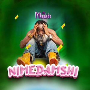 Nimedamshi