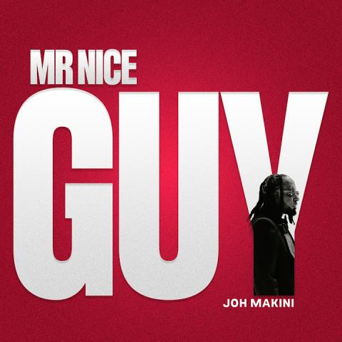 Mr Nice Guy