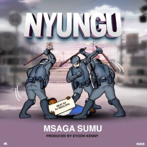 Nyungu