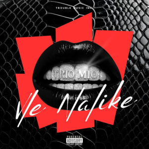 Vle Nalike