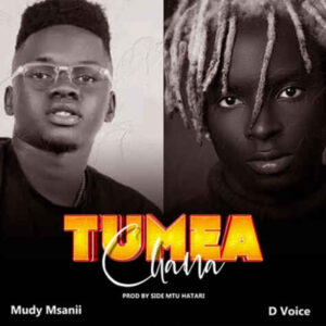 Tumeachana
