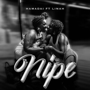 Nipe