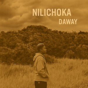 Nilichoka